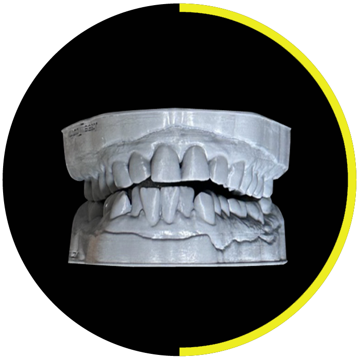 https://dentalartstudio.ca/wp-content/uploads/2023/07/banner-3D-Models-DAS.png